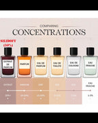 Essence Experience Pack for Men | 5 Scents, 10ml — SiliDoft